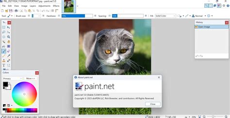 Paint.NET Plus 5.0 Cracked Download
